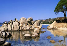 HuaTiHui-锡安一锤定音，独行侠火力全开击沉快船